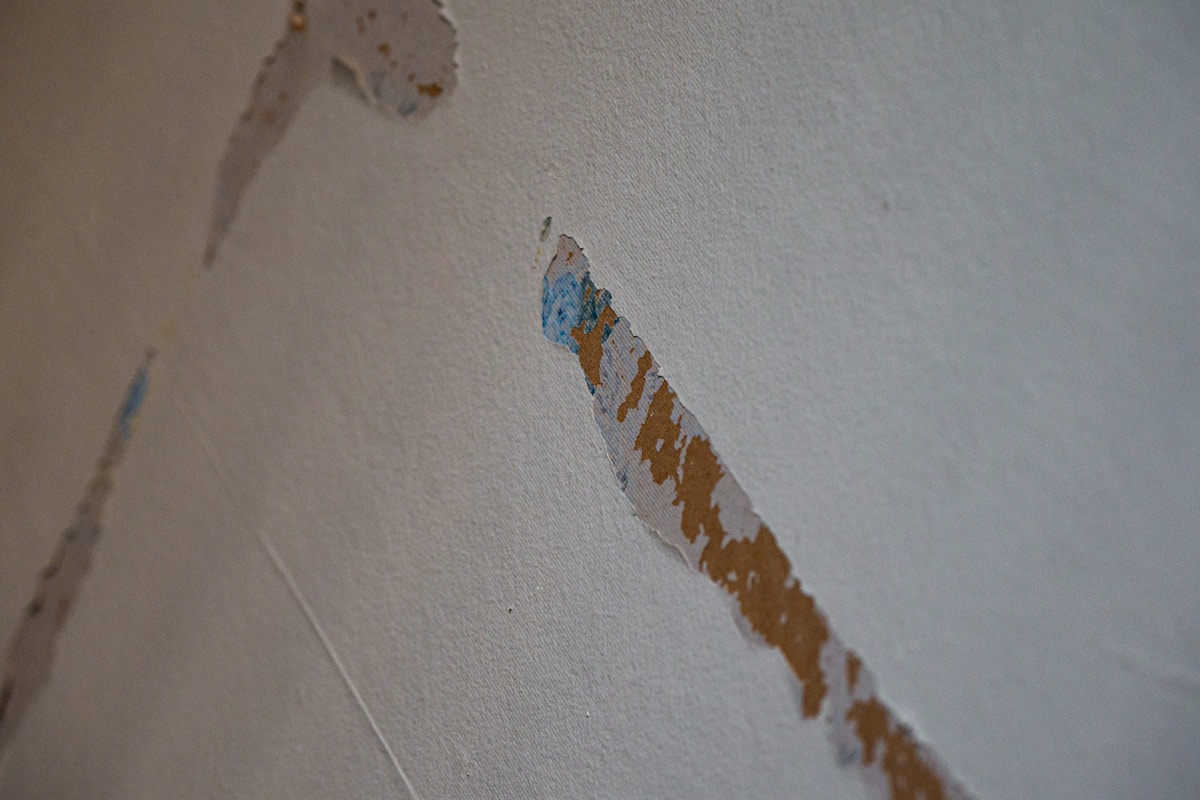 Basement Water Removal service in Kissimmee, FL